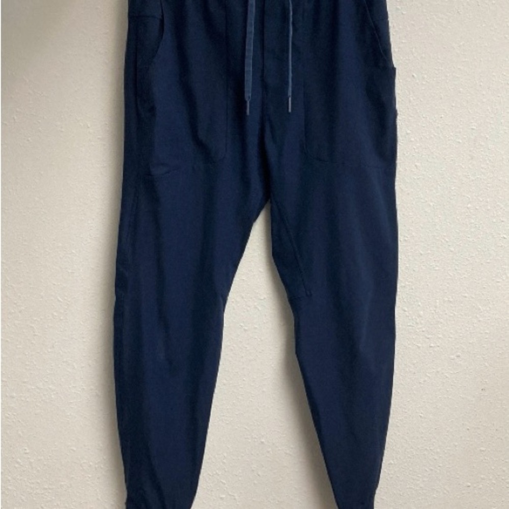 Lululemon Men’s Sweatpants Jogger Athletica Sports Blue Size M - Picture 1 of 14